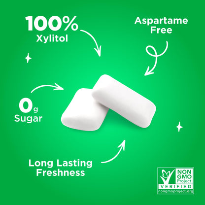 PUR Gum | Aspartame Free Chewing Gum | 100% Xylitol | Natural Spearmint Flavored Gum, 55 Pieces (Pack of 1)
