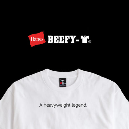 Hanes mens Beefy Short Sleeve Tee Value Pack (2-pack) (Availble in Tall) fashion t shirts, Deep Royal, X-Large Tall US